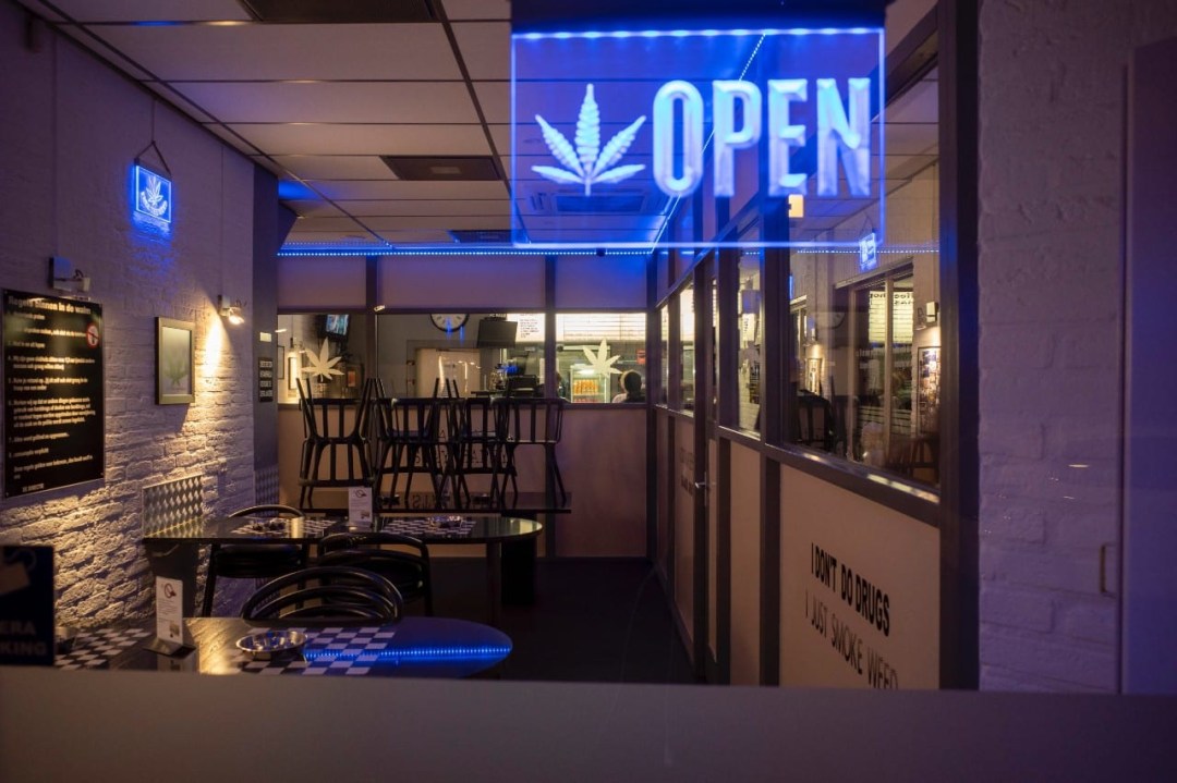 Picture of: Friendly Cannabis Restaurants in Denver and Colorado